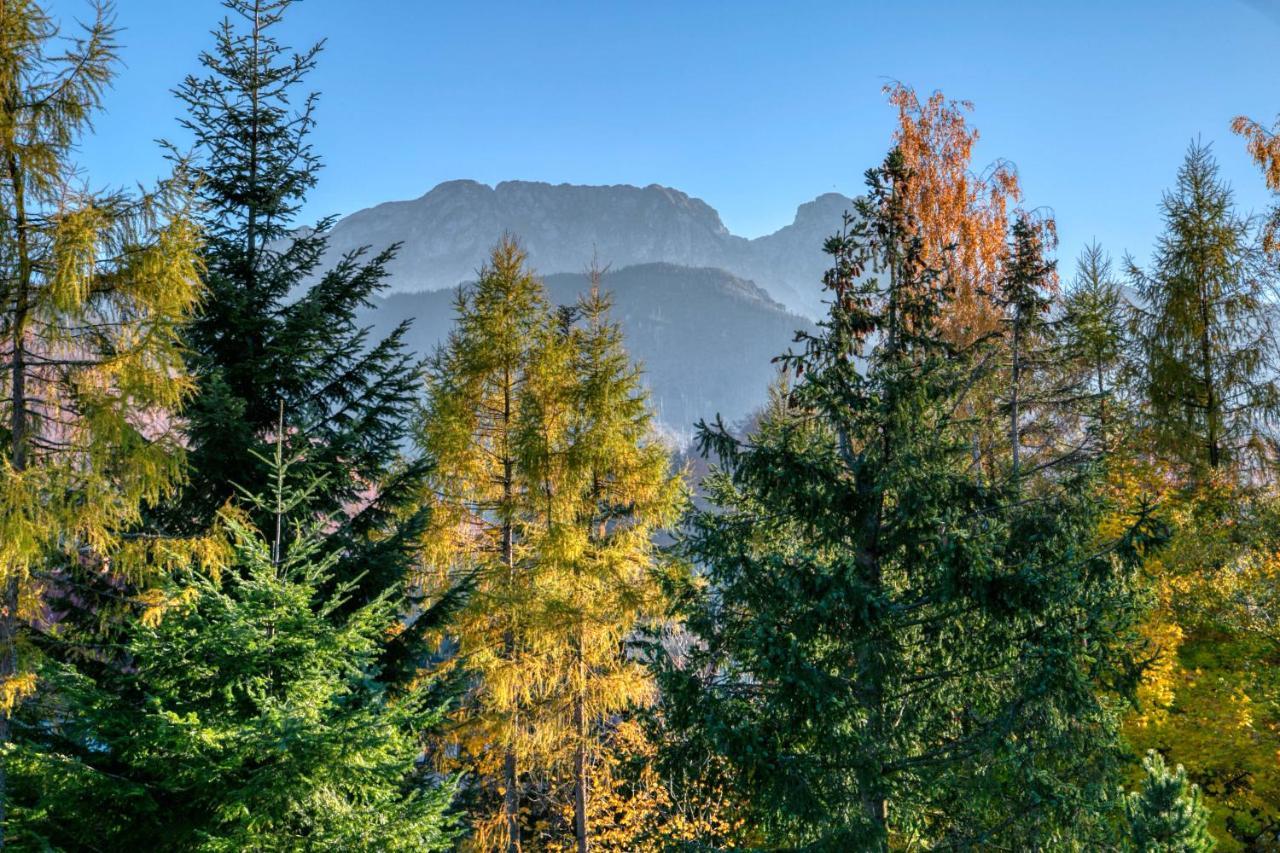 Biala Roza * Zakopane